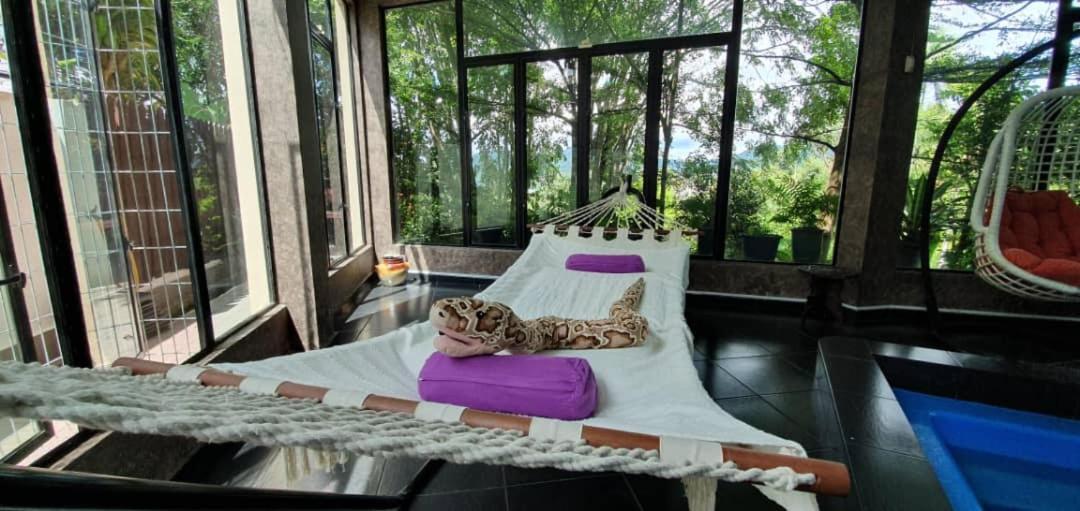 Zoo Villa With Private Pool @ Ampang Kl Екстер'єр фото